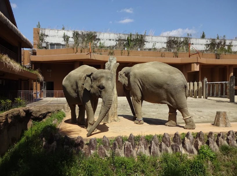 Higashiyama Zoo and Botanical Gardens, Nagoya, Japan, Japan